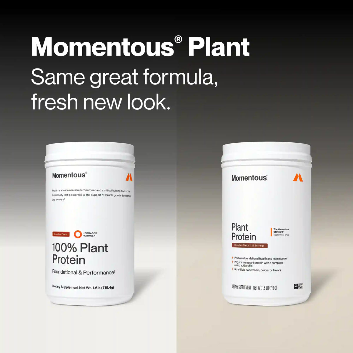 100% Plant Protein Powder