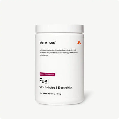 Fuel