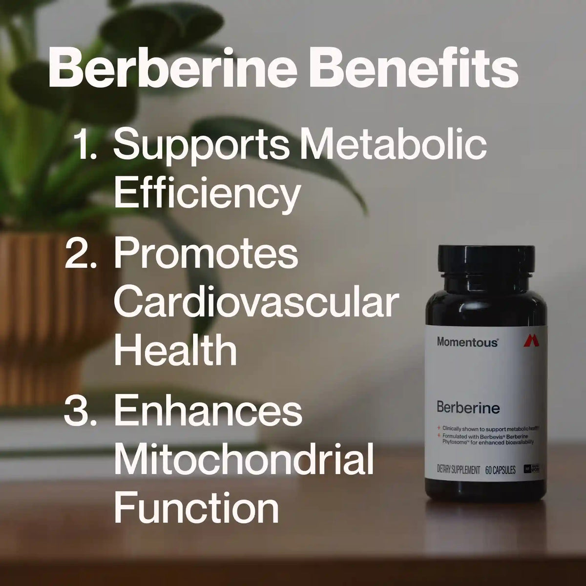 Berberine