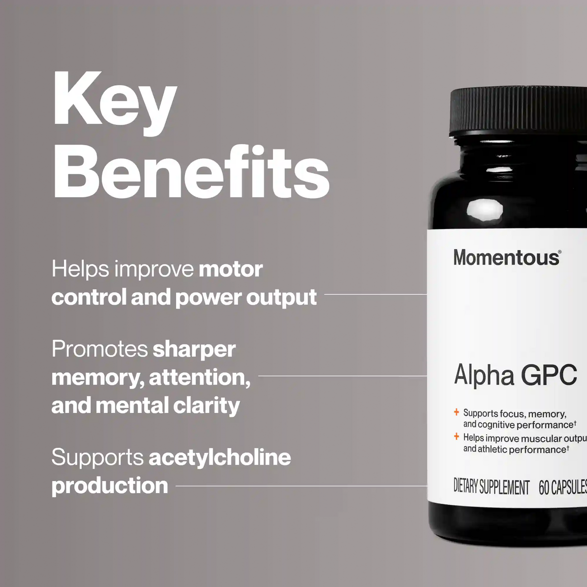 Alpha GPC