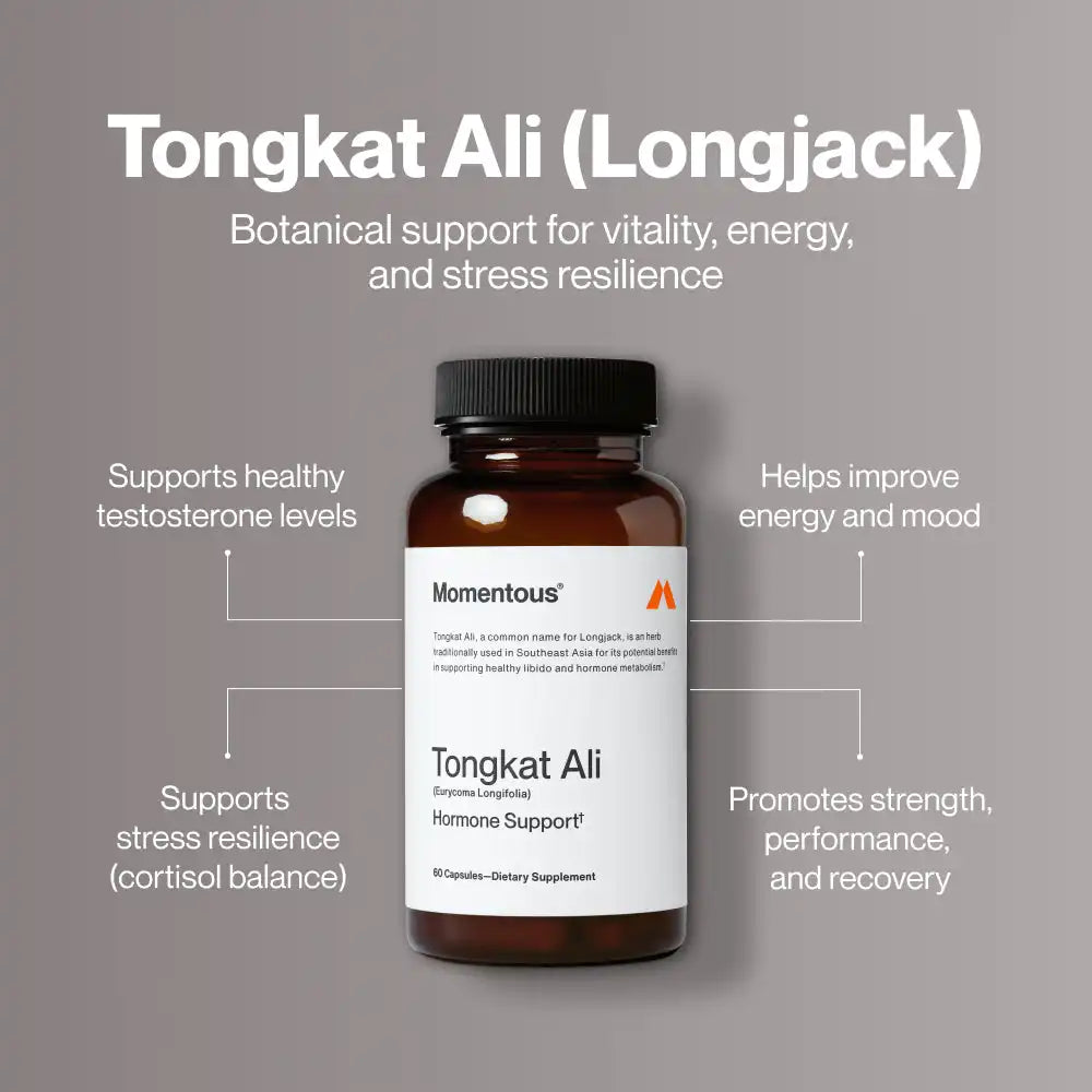 Tongkat Ali