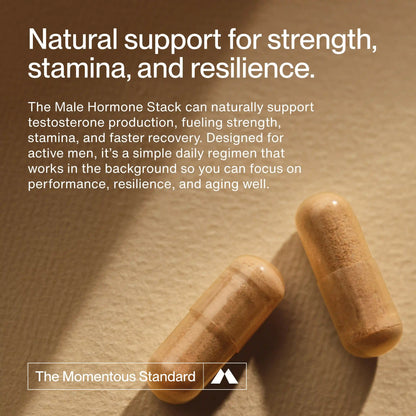 Male Hormone Support Stack