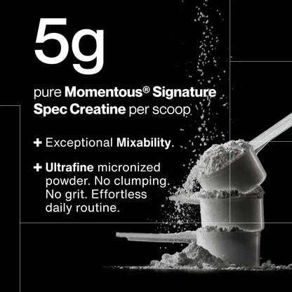 Creatine - 30 Servings
