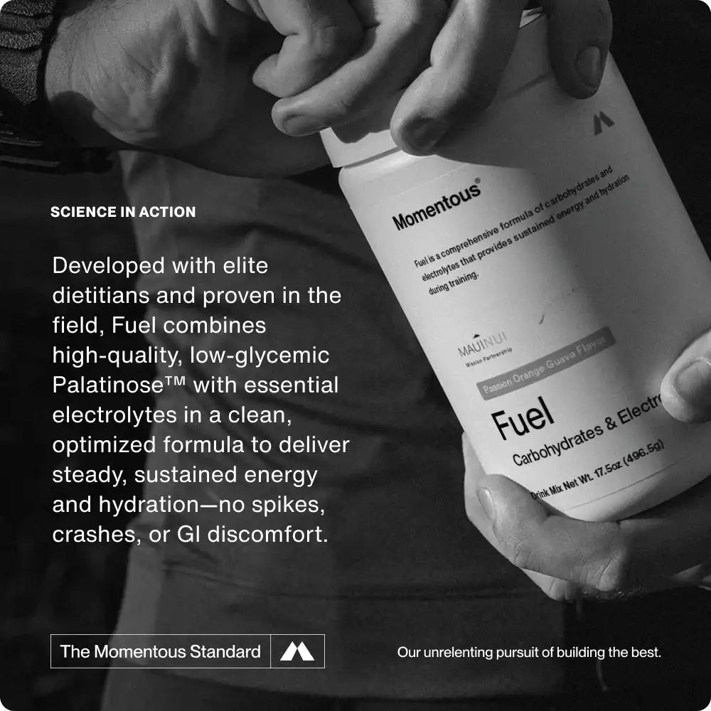 Fuel