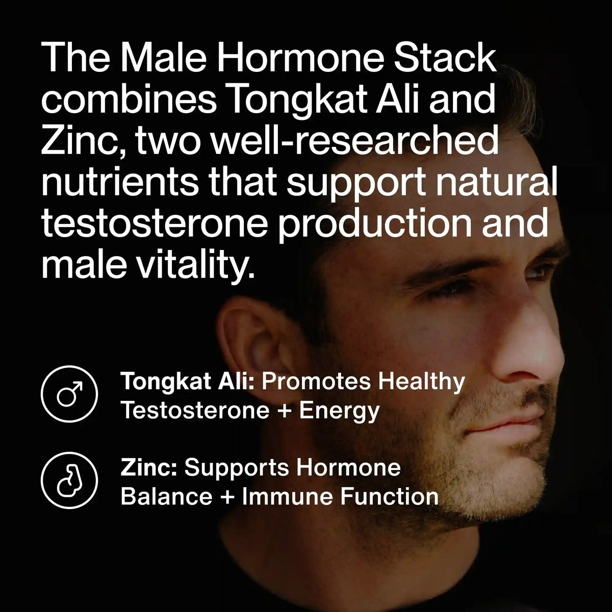 Male Hormone Support Stack