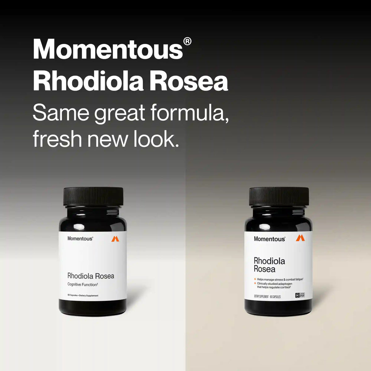 Rhodiola Rosea